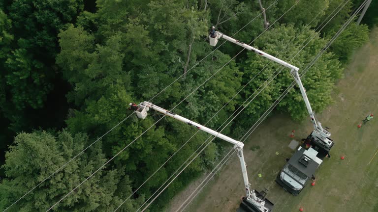 Best Storm Damage Tree Cleanup  in North Spearfish, SD